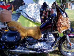 motoduck 2013_040